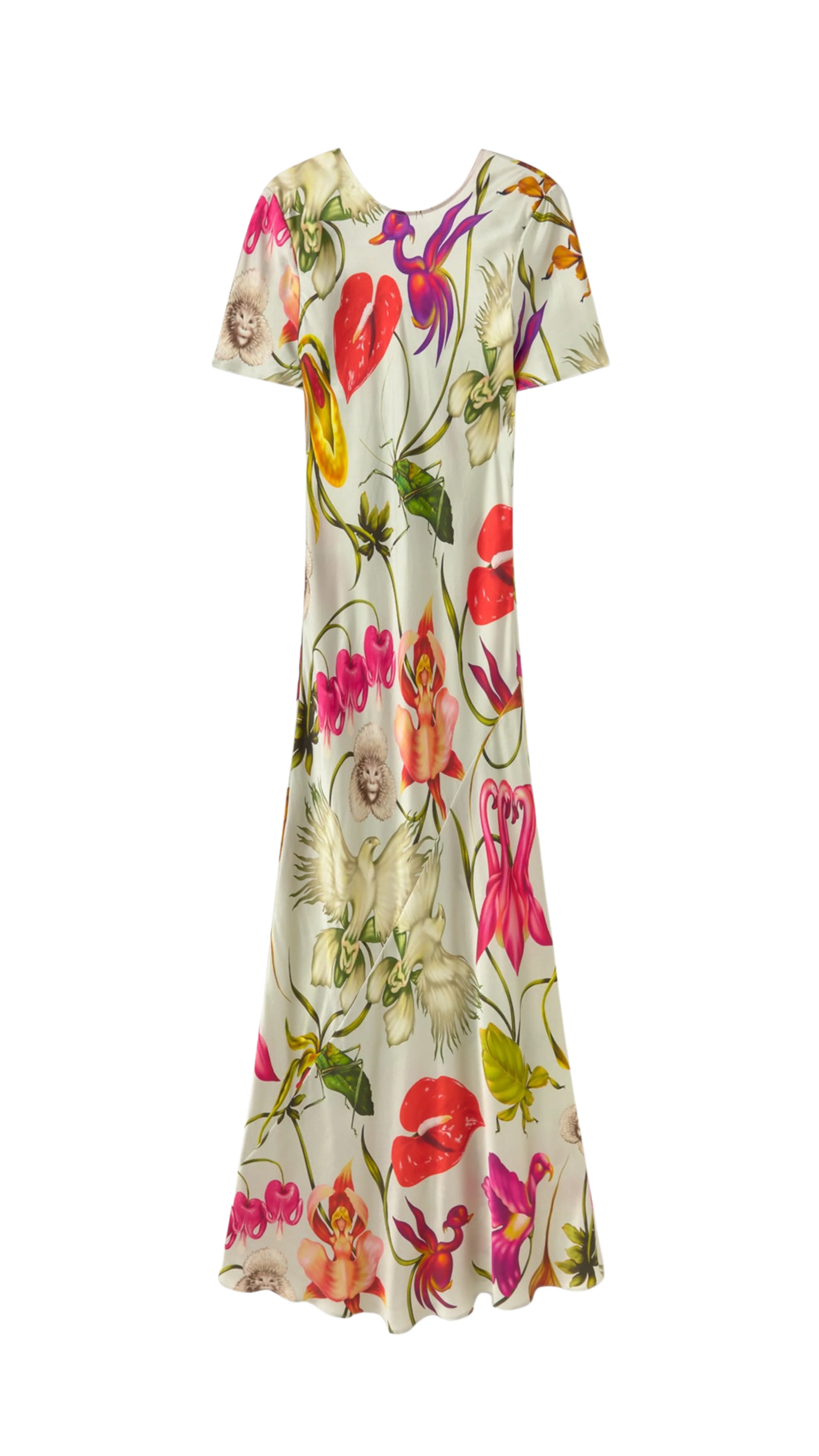 Short Sleeve Colour Me Dress - Wonderland